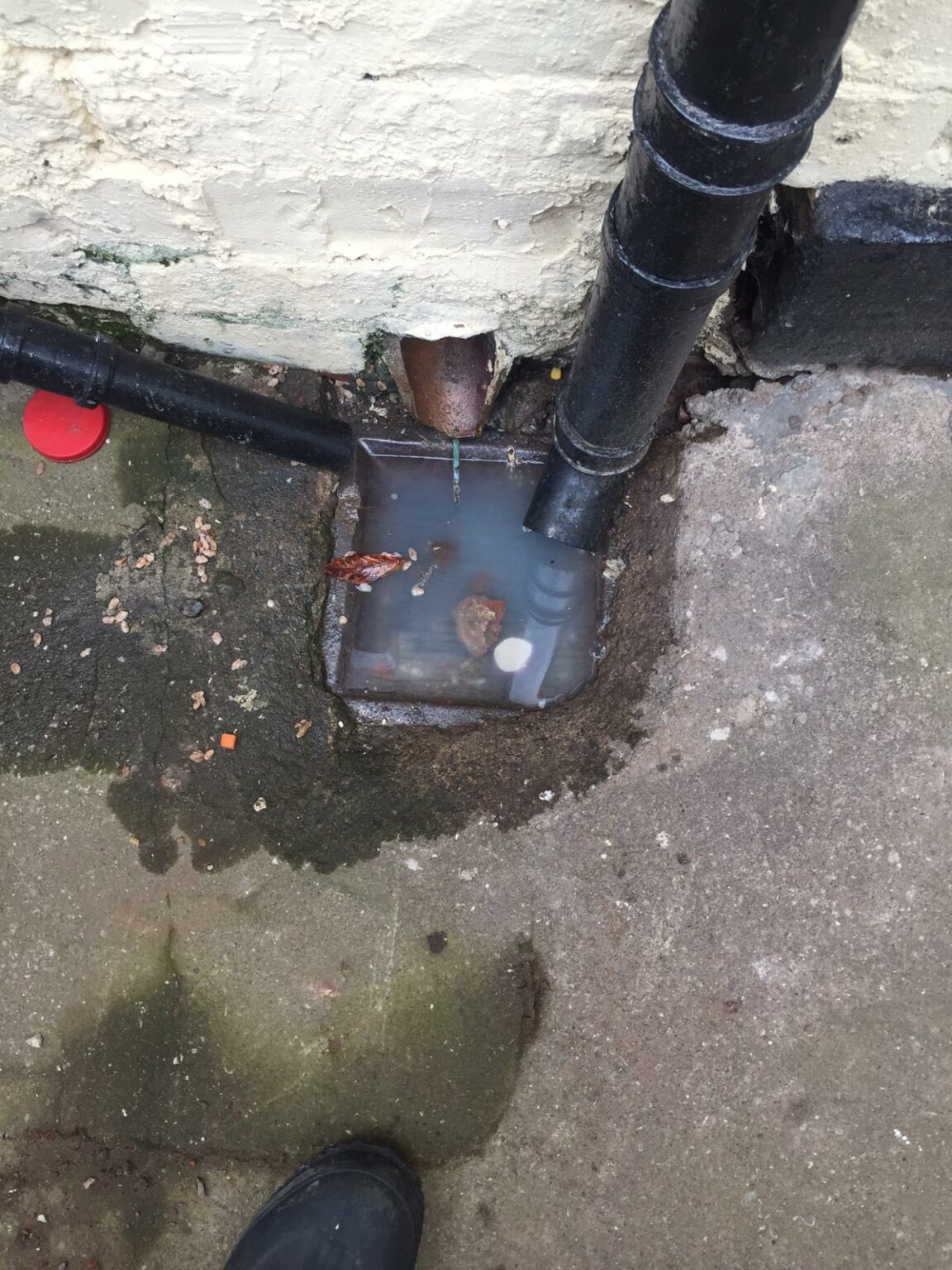 how-to-unblock-an-outside-drain-successful-tips