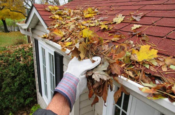 Prevent Blocked Drains at home